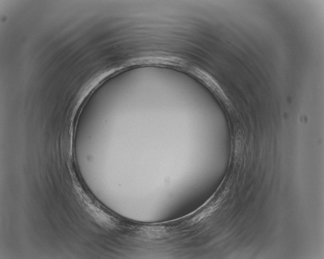 X0000083010844200702161549