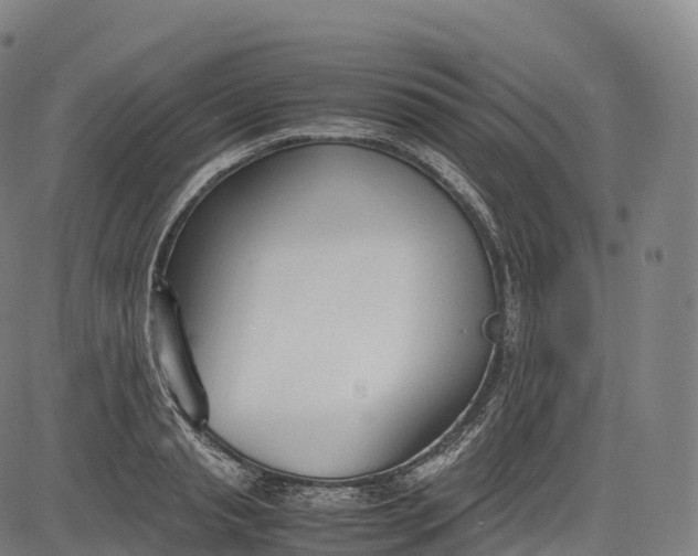 X0000083010845200702161549