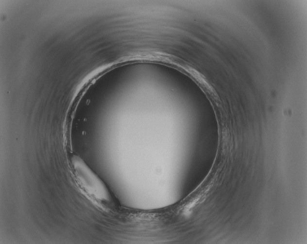 X0000083010846200702161549