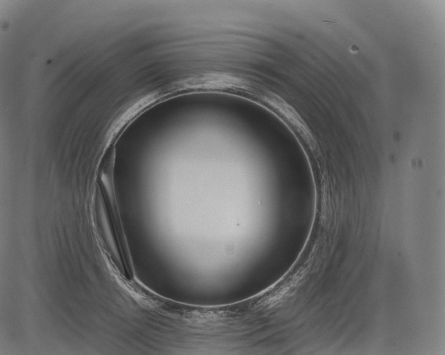 X0000083010850200702161549