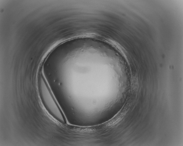 X0000083010851200702161549