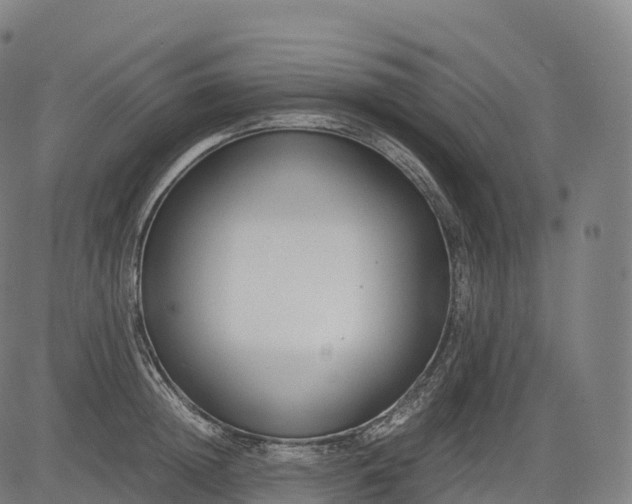 X0000083010852200702161549