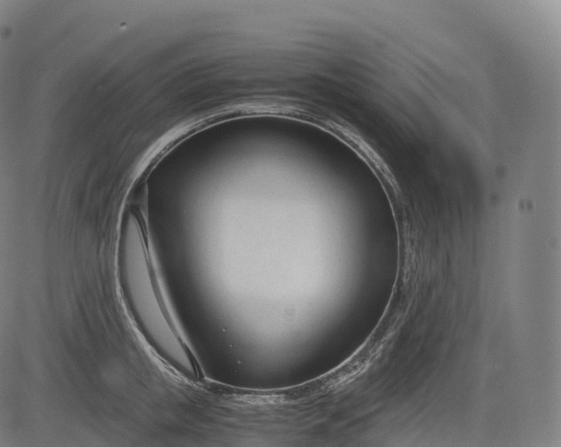 X0000083010853200702161549