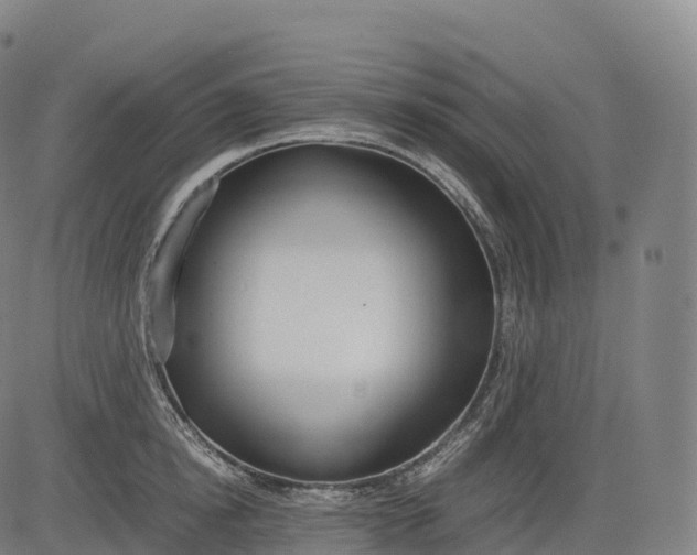 X0000083010854200702161549