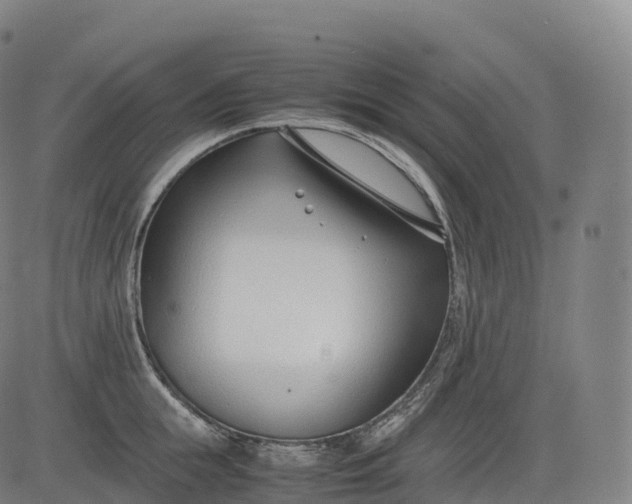 X0000083010855200702161549