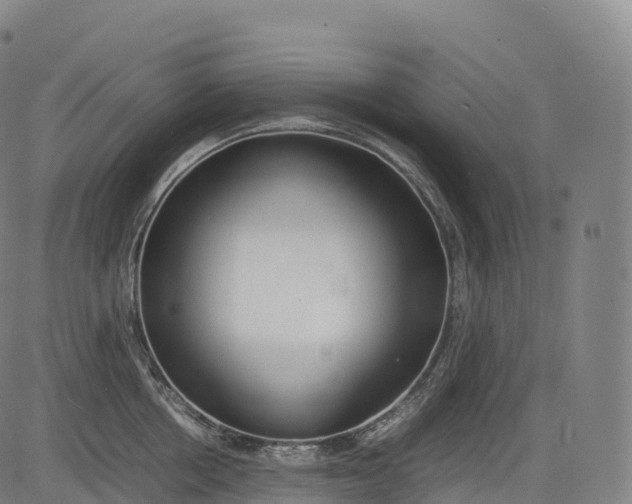 X0000083010858200702161549