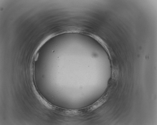 X0000083010859200702161549