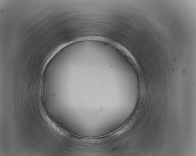 X0000083010860200702161549