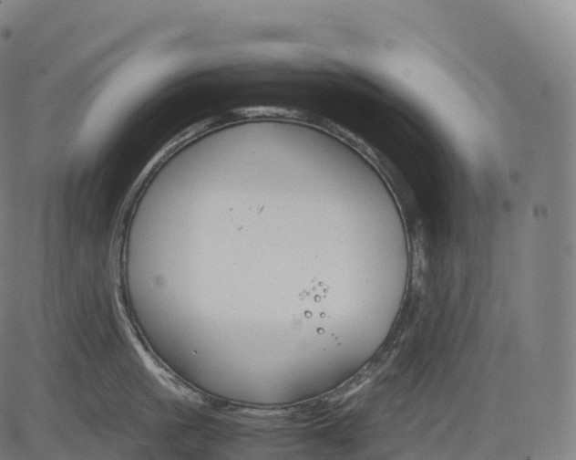 X0000083010861200702161549