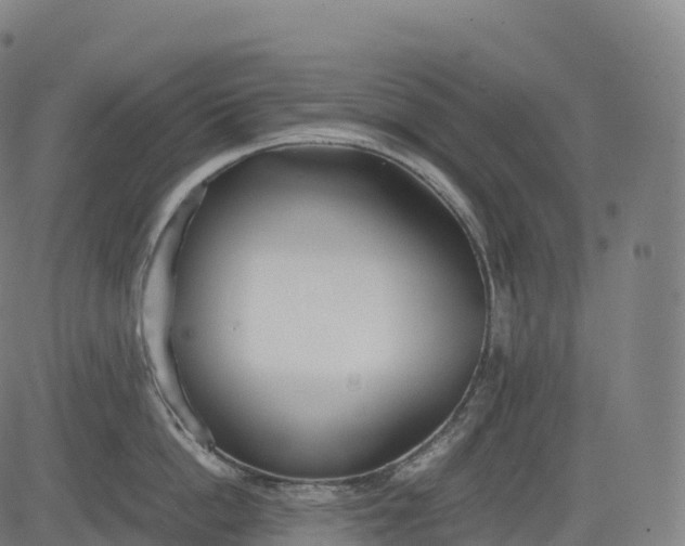 X0000083010862200702161549