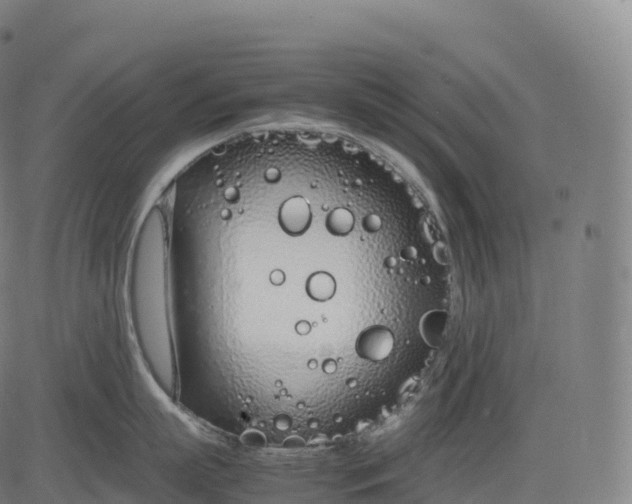 X0000083010863200702161549