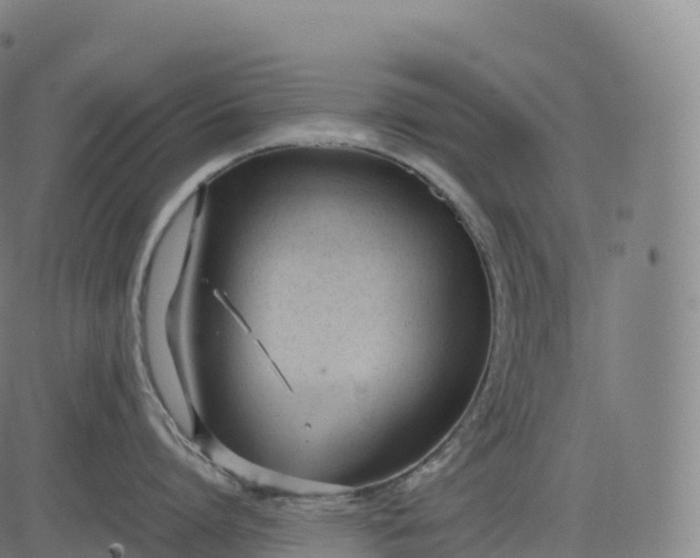 X0000083010864200702161549