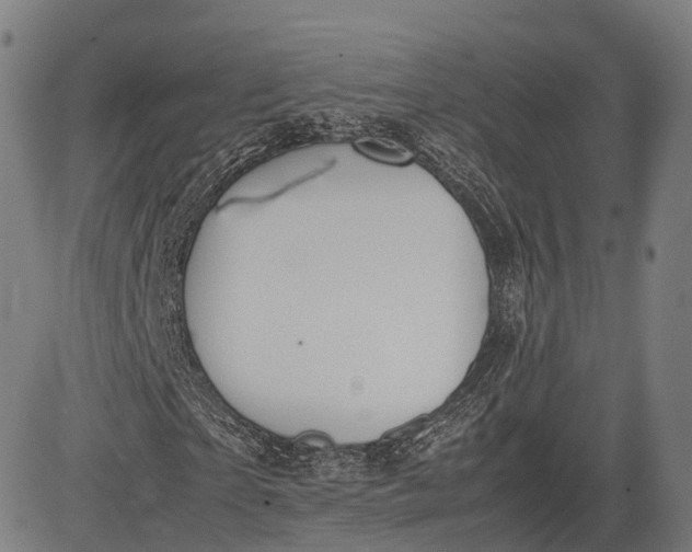 X0000083010865200702161549