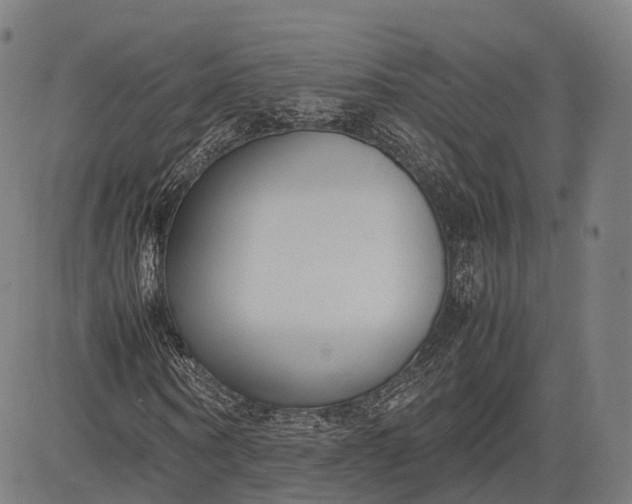 X0000083010866200702161549