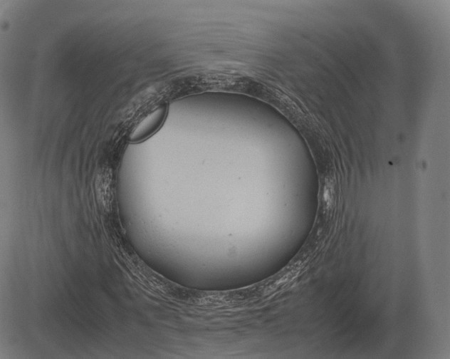 X0000083010867200702161549