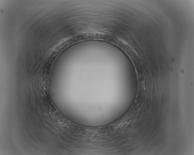 X0000083010870200702161549