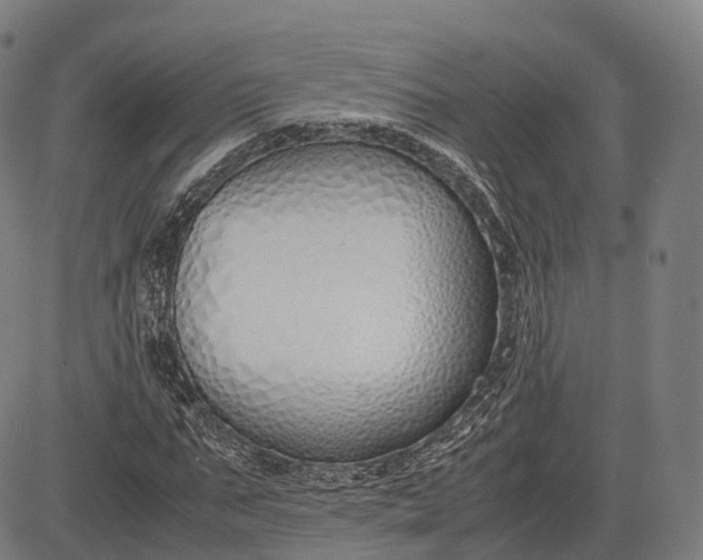 X0000083010871200702161549