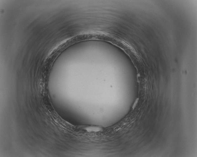 X0000083010872200702161549