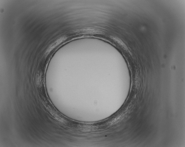 X0000083010873200702161549