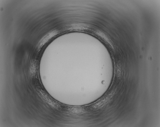 X0000083010874200702161549