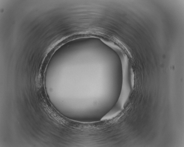 X0000083010876200702161548