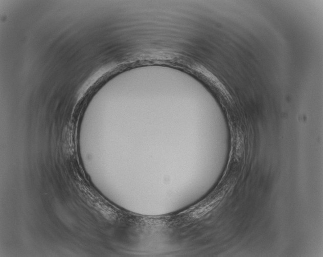 X0000083010878200702161548