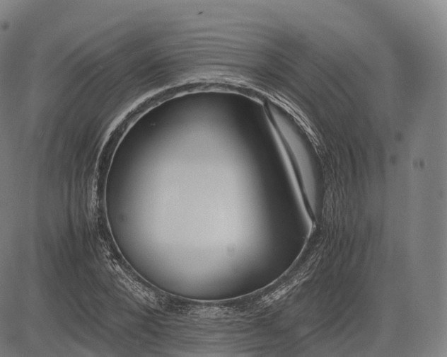 X0000083010880200702161548