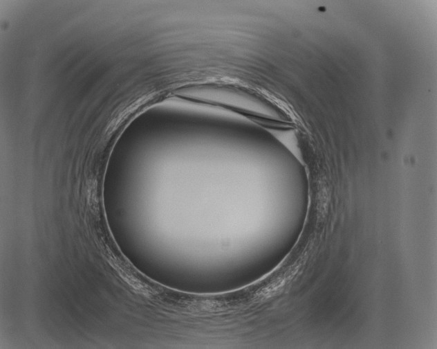 X0000083010881200702161548