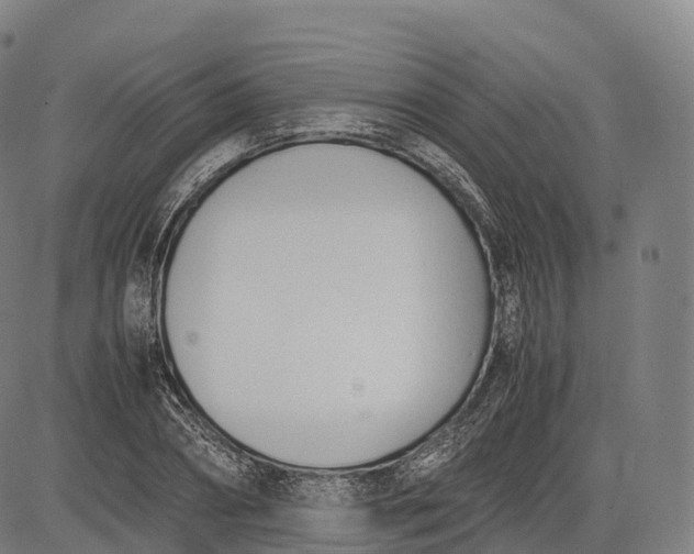 X0000083010882200702161548