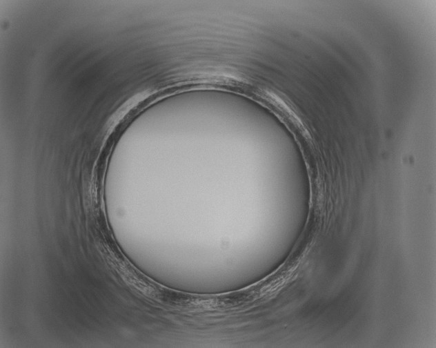 X0000083010883200702161548