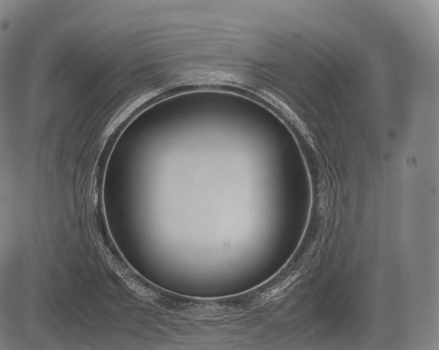 X0000083010885200702161548