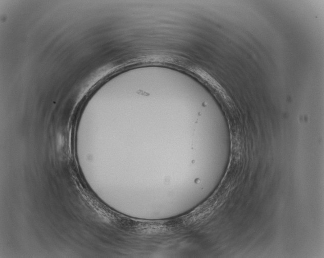 X0000083010886200702161548