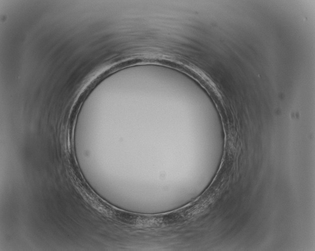 X0000083010887200702161548