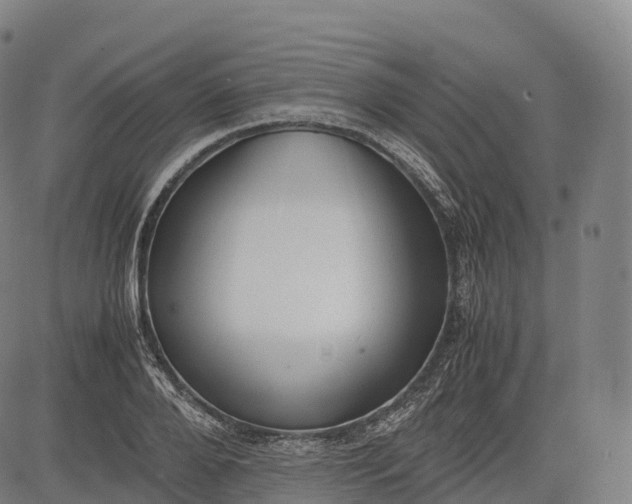 X0000083010888200702161548