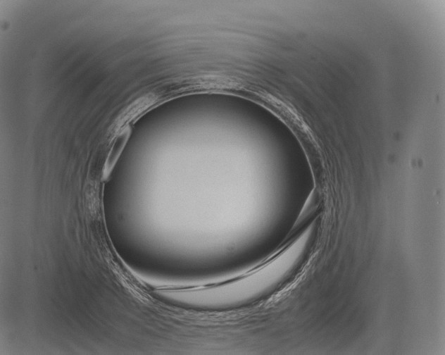 X0000083010889200702161548