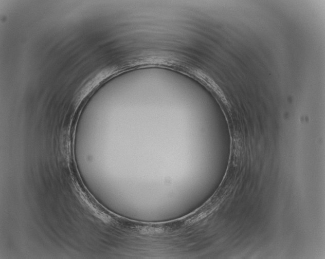 X0000083010890200702161548