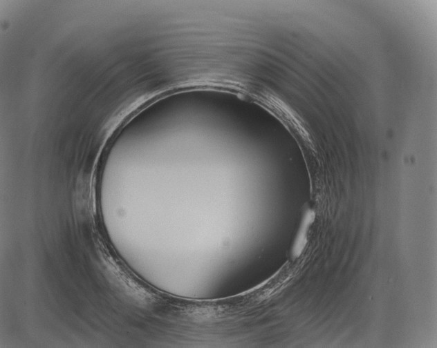 X0000083010892200702161548