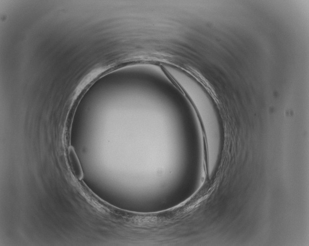 X0000083010893200702161548