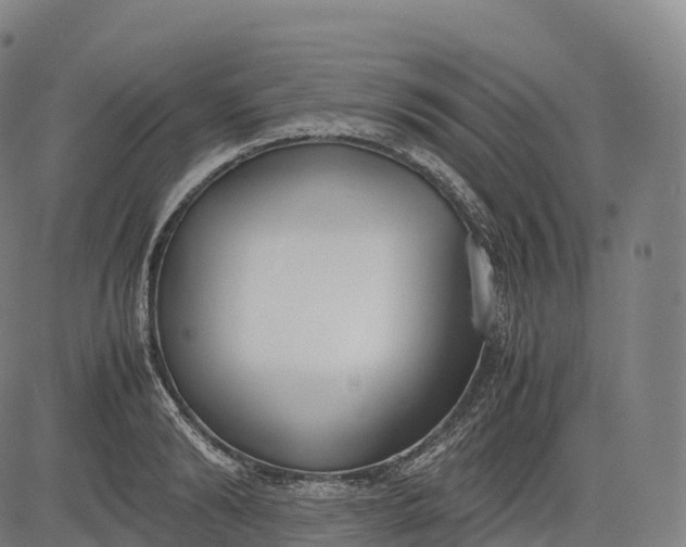 X0000083010894200702161548