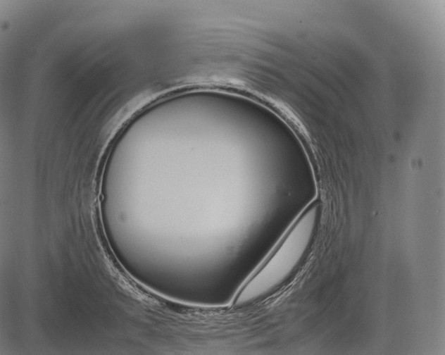 X0000083010895200702161548