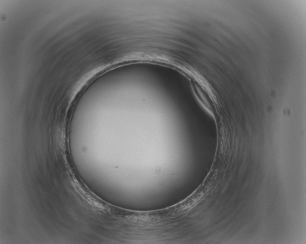 X0000083010896200702161548