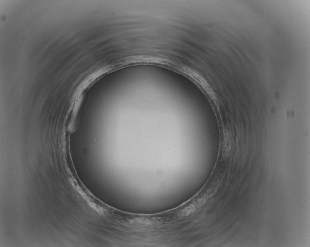 X0000083010898200702161548