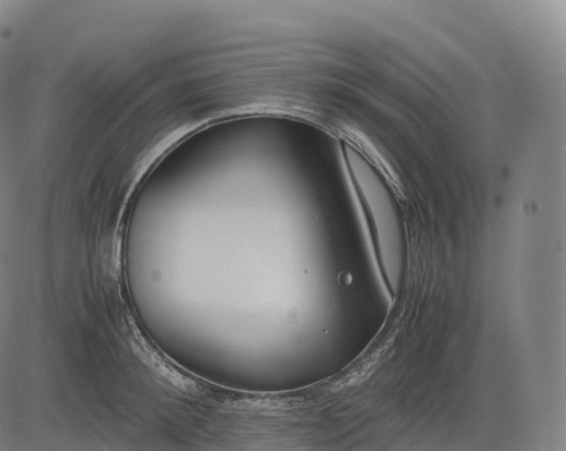 X0000083010900200702161548