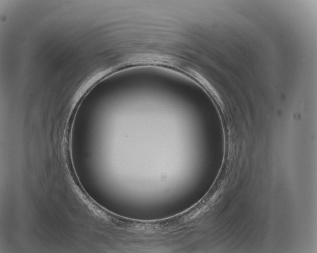 X0000083010901200702161548