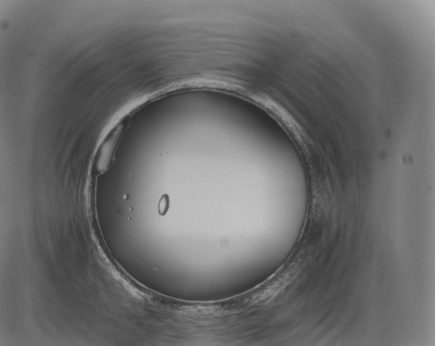 X0000083010902200702161548