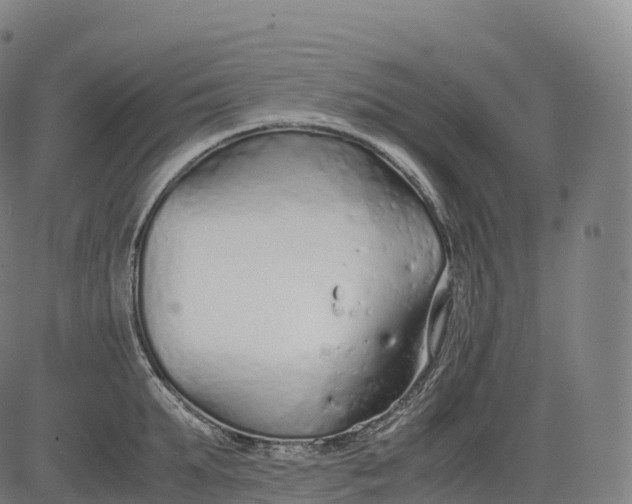 X0000083010903200702161548