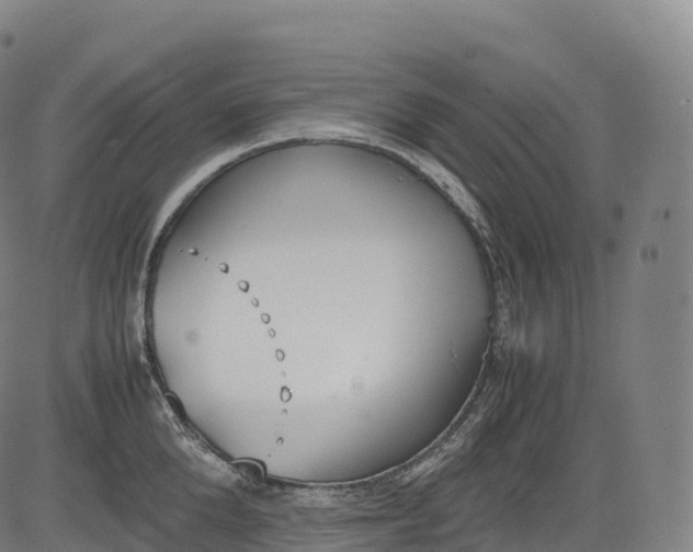 X0000083010904200702161548