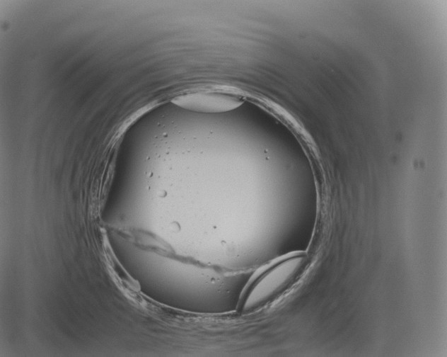 X0000083010905200702161548