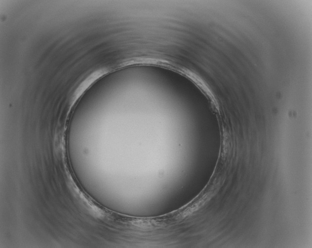 X0000083010906200702161548