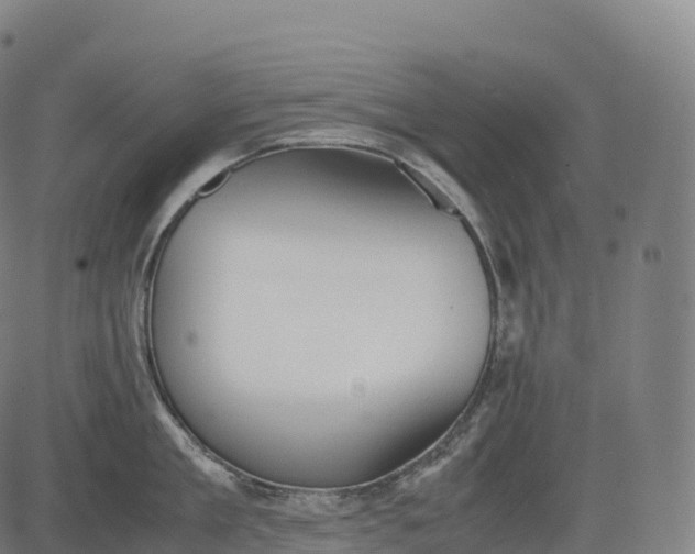 X0000083010909200702161548